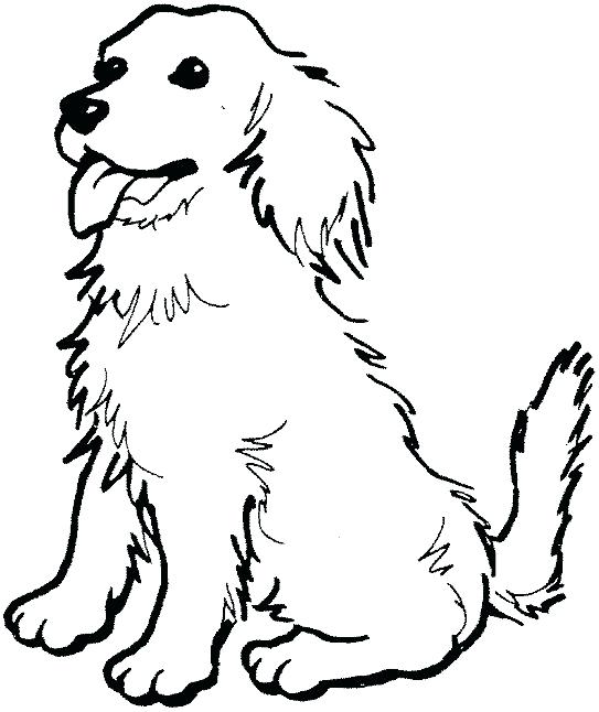 543x646 Golden Retriever Coloring Pages Coloring Pages Draw A Golden
