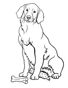 236x305 Printable Golden Retriever Coloring Page Free Pdf Download