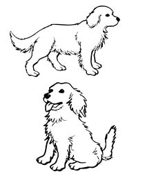 236x252 Coloring Pages Golden Retriever Coloring Pages