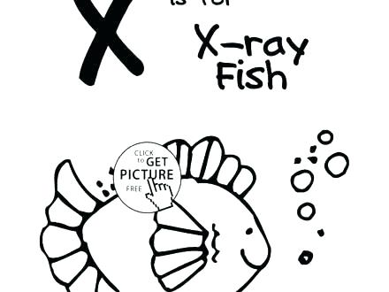 440x330 Rey Mysterio Coloring Pages X Ray Coloring Page X Ray Fish