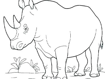 440x330 Rhino Coloring Page Rhino Coloring Page Rhino Coloring Page