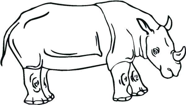 600x338 Rhino Coloring Pages Cartoon Animal Coloring Pages Animal Coloring