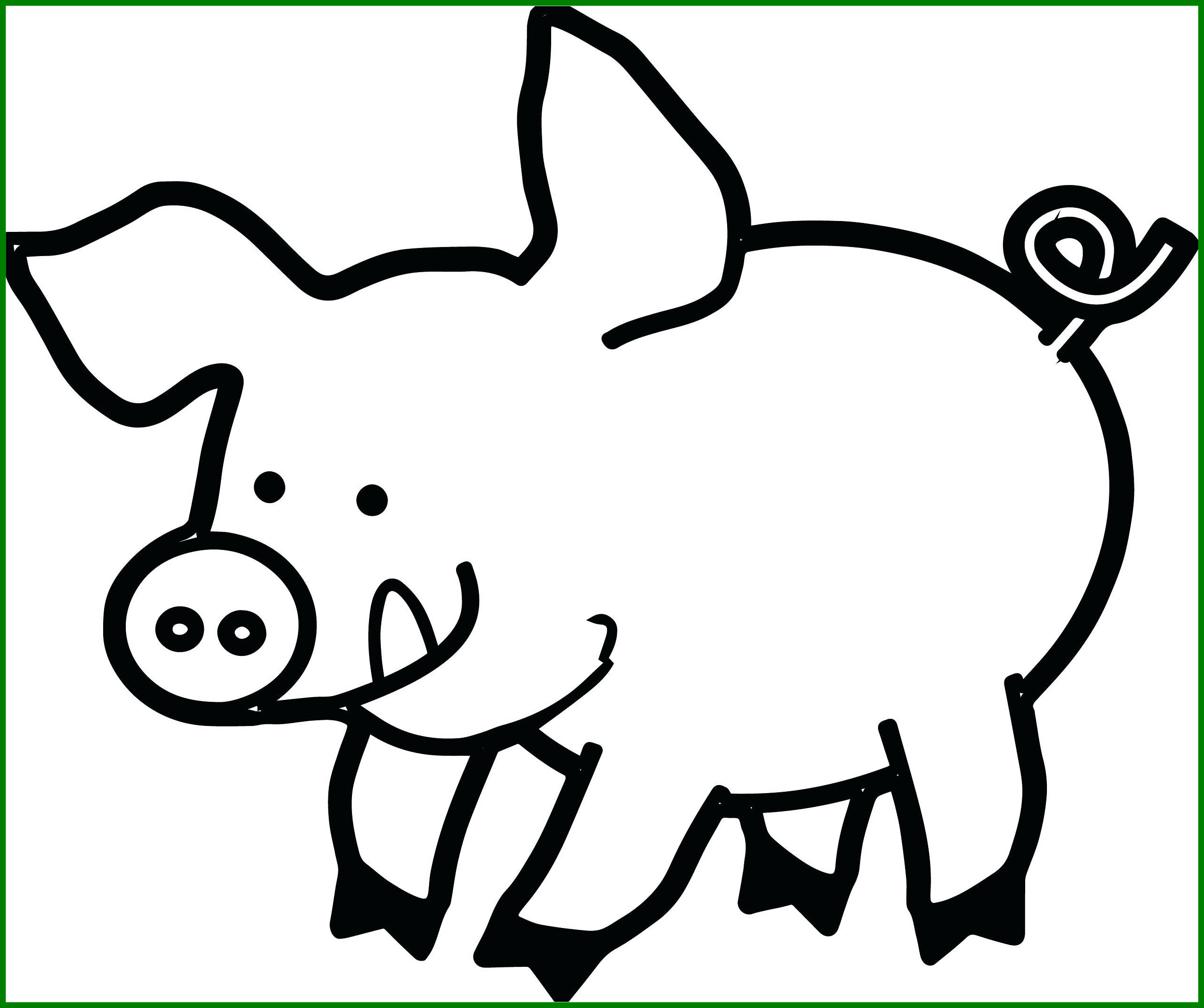 2545x2130 Incredible Colors Of Nature Adult Colouring Book Rhino Coloring