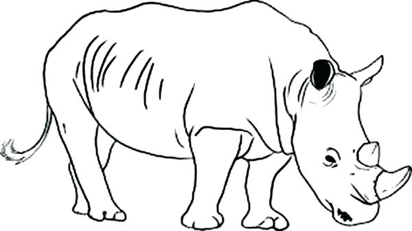600x336 Rhino Coloring Page Rhino Coloring Pages Free