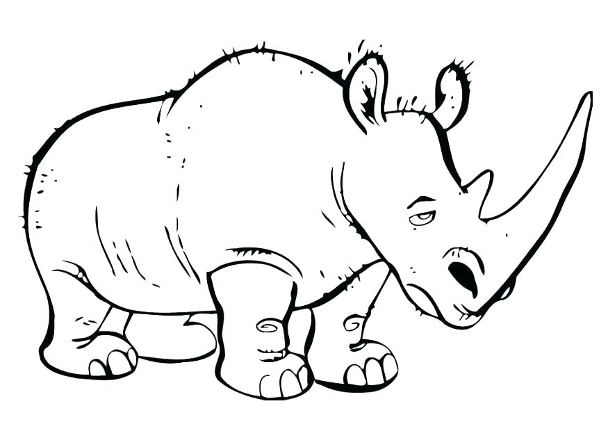 875x620 Baby Rhino Coloring Page Rhinoceros Coloring Page Printable