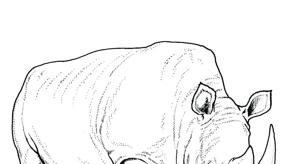 960x544 Rhino Coloring Pages Realistic Rhino Coloring Pages