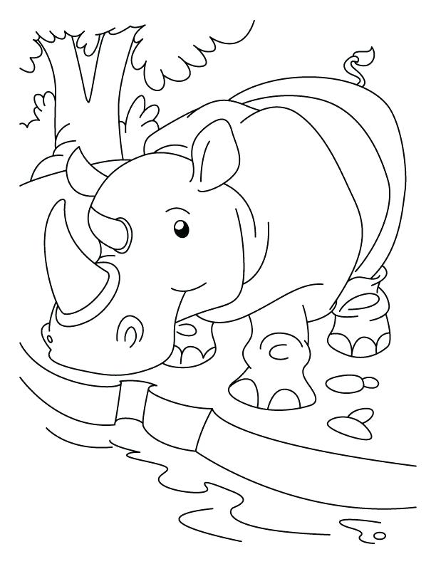612x792 Rhinoceros Quenching His Thirst Coloring Pages Download Free