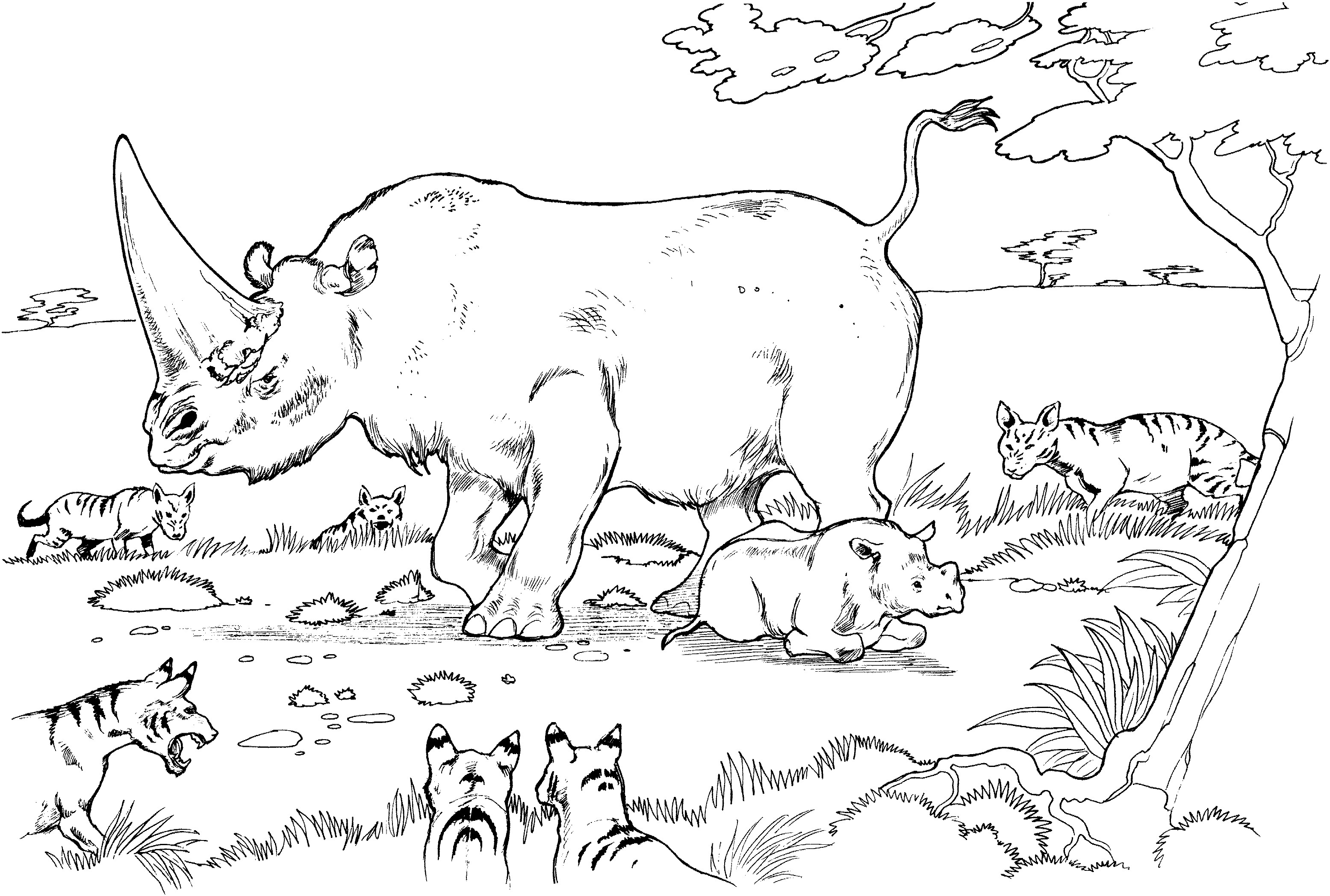 3111x2097 New Rhino Coloring Pages Printable Leri Co Inside Page Design