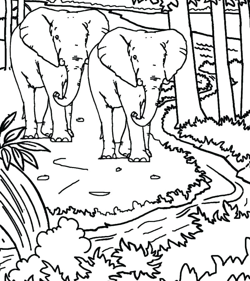 800x900 Nims Island Colouring Pages Beautiful Home Coloring Page