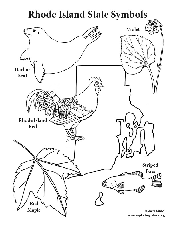 612x792 Rhode Island State Symbols Coloring Page