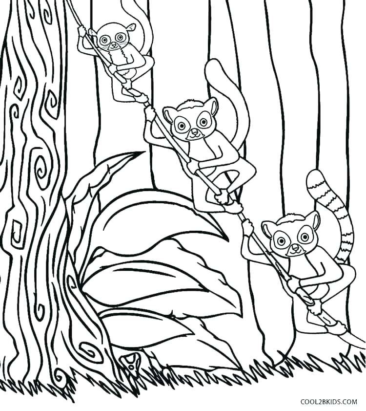 750x841 Lemur Coloring Page Country Coloring Pages Country Coloring Pages