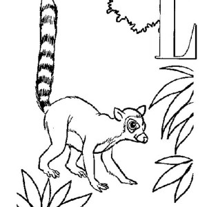 300x300 Little Ring Tailed Lemur Coloring Page Color Luna