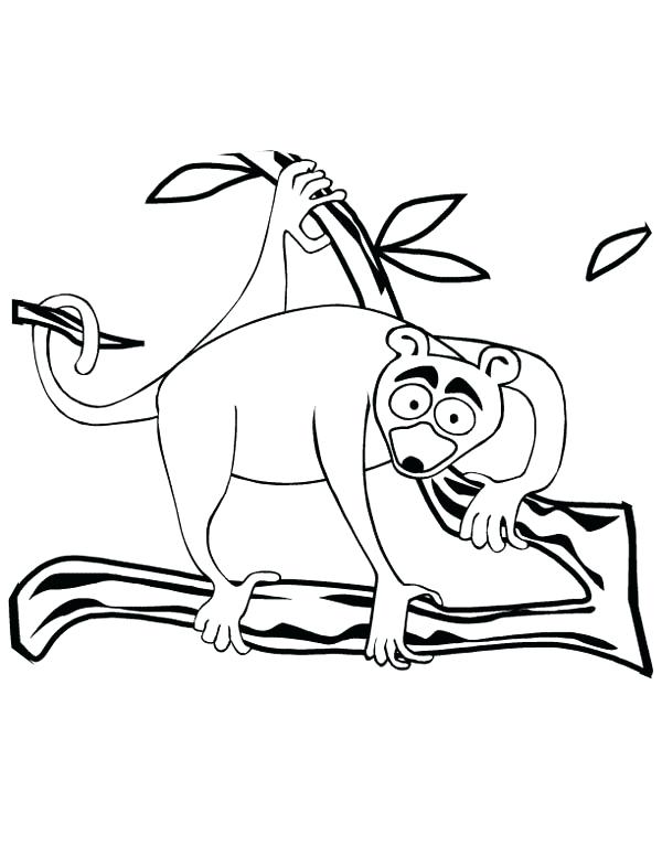 600x776 Lemur Coloring Pages