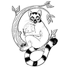230x230 Indri Lemur Lemur Coloring Page