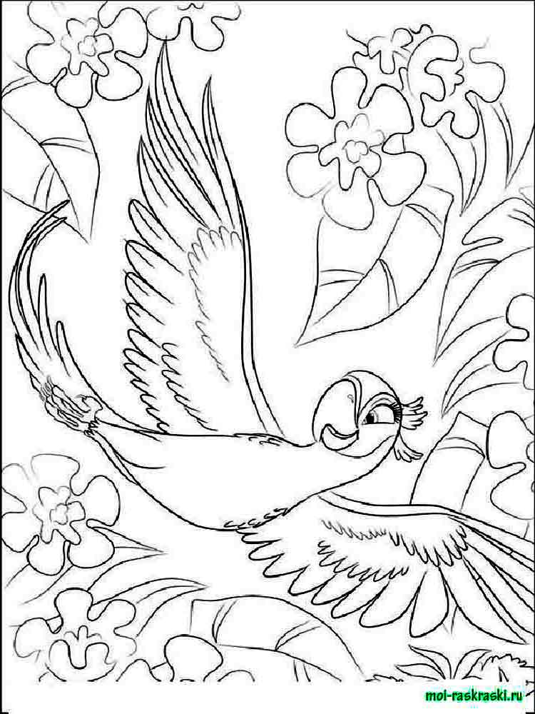 750x1000 Rio And Rio Coloring Pages Free Printable Rio And Rio