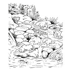 River Otter Coloring Page