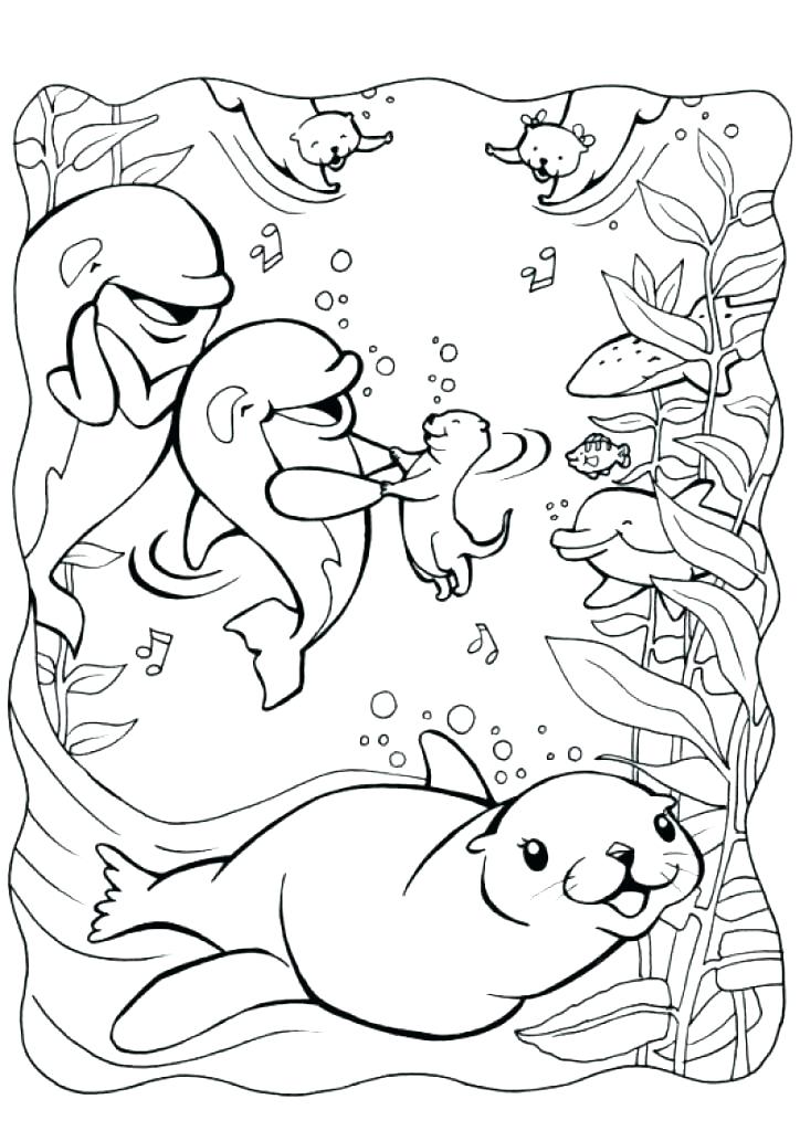 724x1024 Sea Otter Coloring Page River Otter Pictures And Drawings Coloring