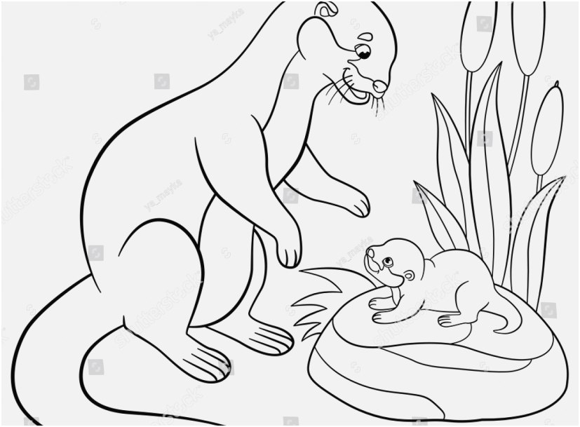 827x609 The Ideal Design Otter Coloring Pages Fantastic
