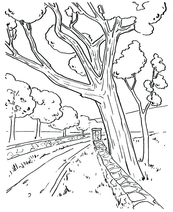600x734 Road Coloring Page Road Signs Coloring Pages