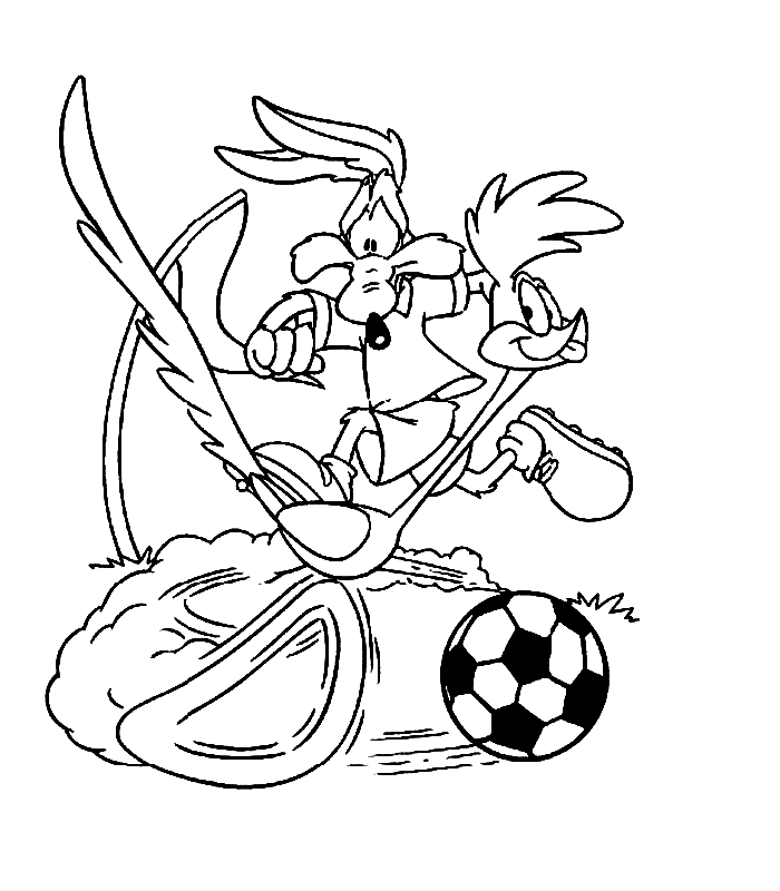 700x800 Road Runner And Wile E Coyote