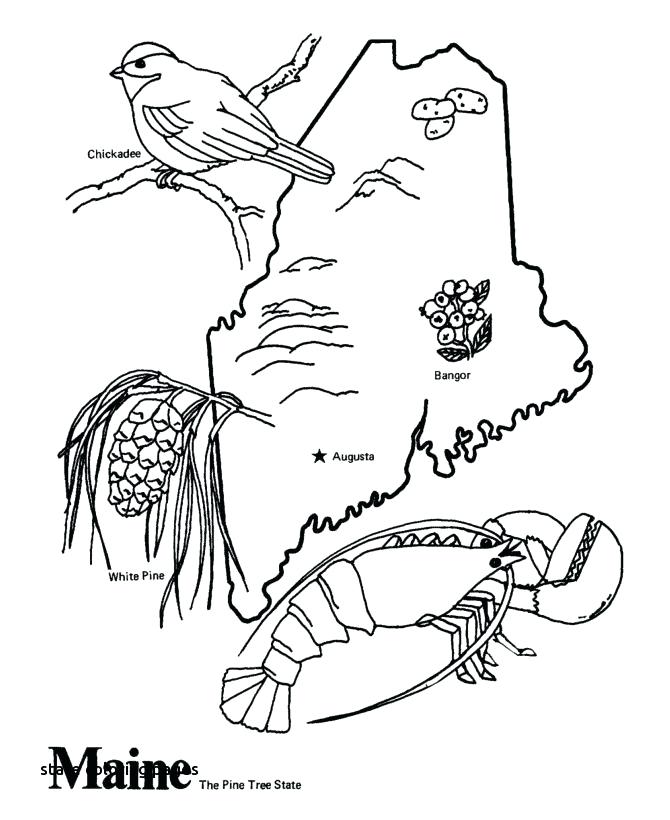 670x820 Road Trip Coloring Pages Road Trip Colouring Pages