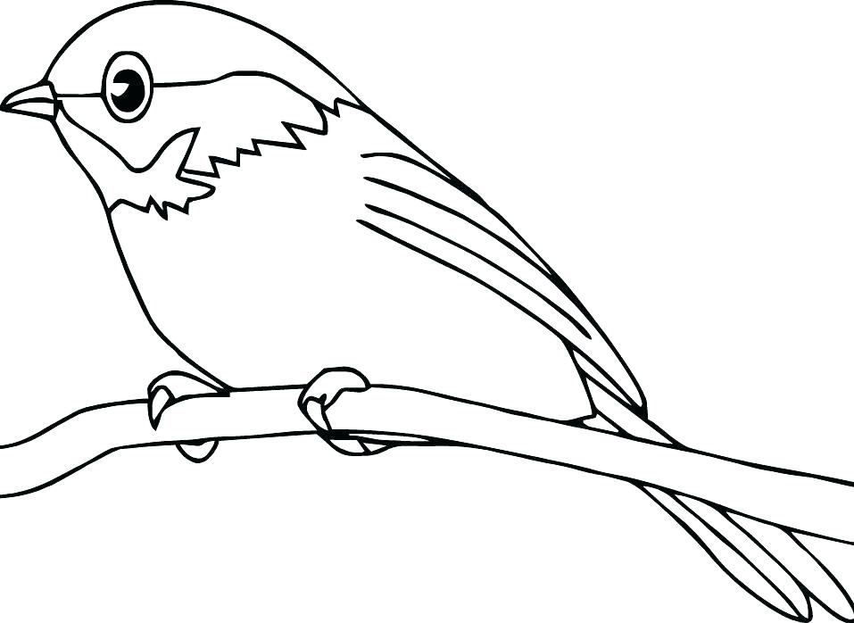 957x698 Coloring Page Of A Robin Bird