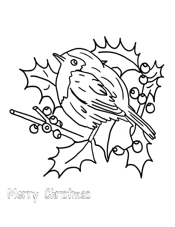 600x776 Robin Coloring Page Red Robin Bird Coloring Pages Printable