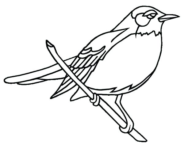600x473 Robin Bird Coloring Pages Coloring Book