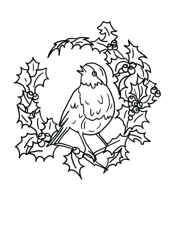 600x776 Robin Coloring Page Robin Bird Colouring Pages Printable Coloring