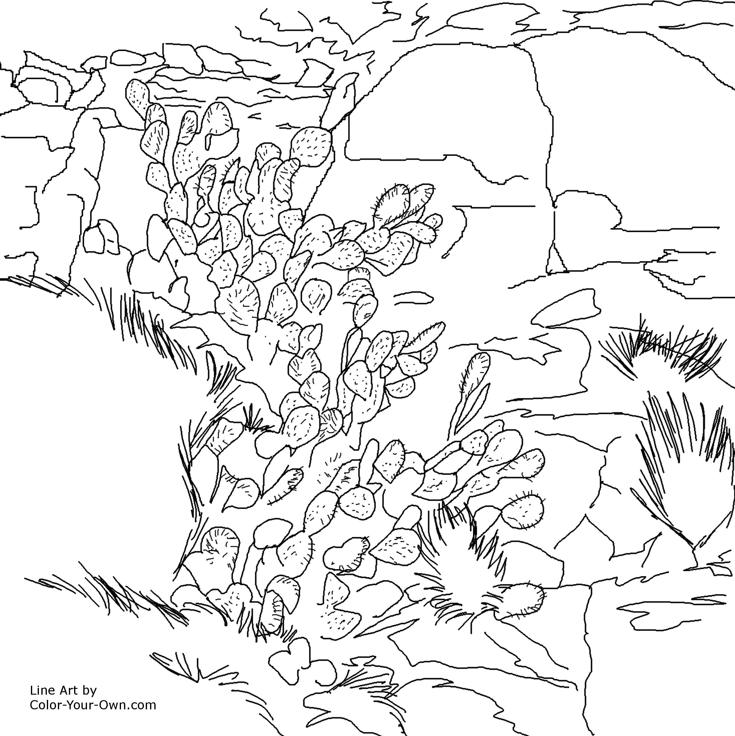 2400x2402 Luxury Rock Cycle Coloring Page Illustration