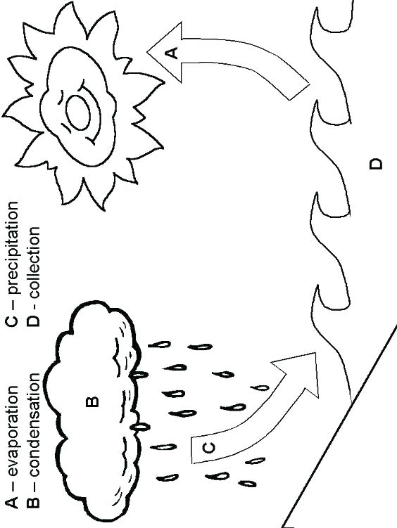 564x751 Rock Coloring Pages Elegant Rock Cycle Coloring Page Best Of Water