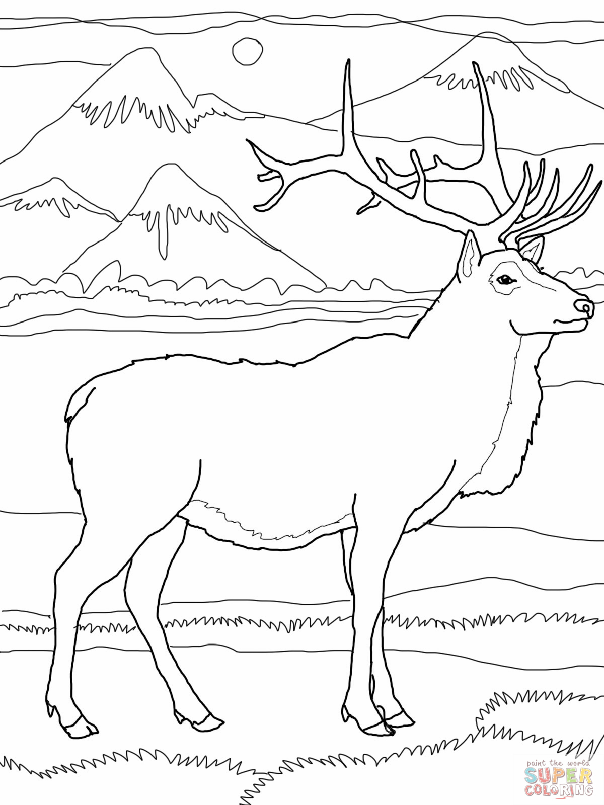 1200x1600 Rocky Mountain Elk Coloring Page Pages