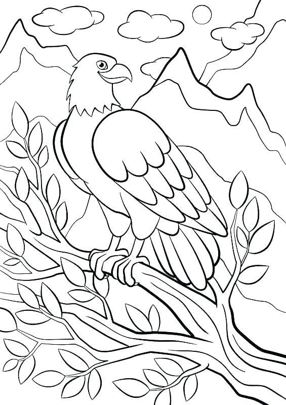 565x800 Coloring Pages Of Mountains Mountains Coloring Page Mountain