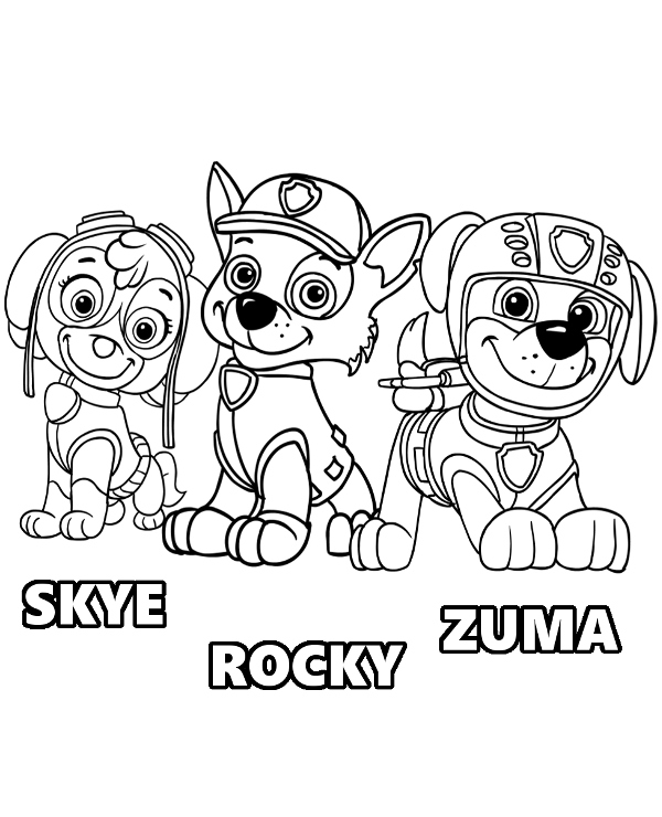 600x740 Skye Rocky Zuma Paw Patrol Pups
