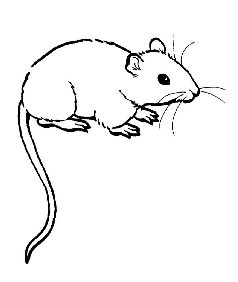 950x1126 Best Of Rat Page To Color Design Printable Coloring Sheet