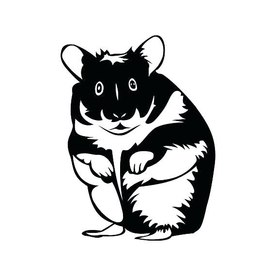 570x570 Coloring Pages Com In Addition Palace Pets Coloring Pages