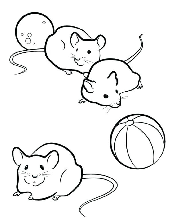 600x775 Coloring Pages With Mice Mouse Good Page