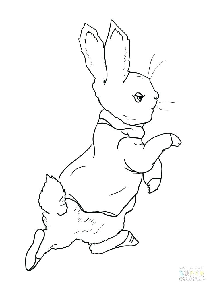 728x997 Roger Rabbit Coloring Pages Rabbit Coloring Book Rabbit Coloring