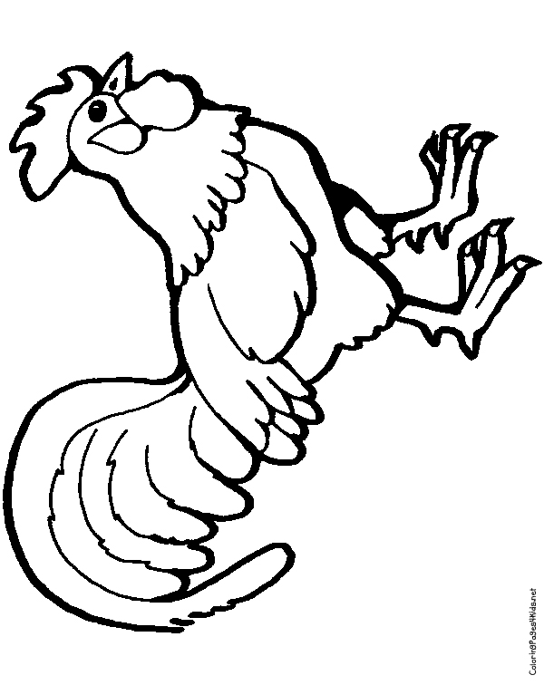 600x756 Rooster Coloring Page Download And Printable