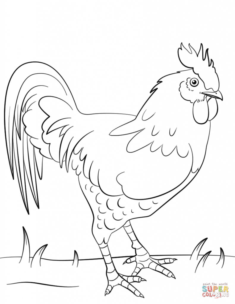 791x1024 Rooster Coloring Page