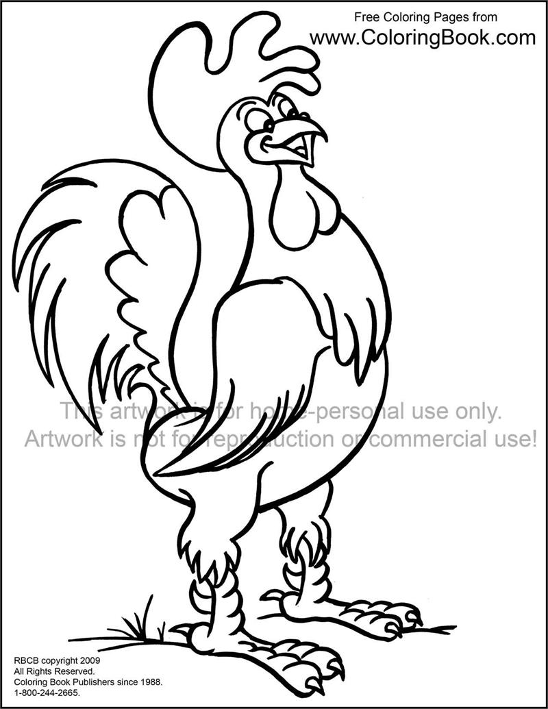 800x1035 Rooster Coloring Page Beautiful Rooster Printable Coloring Pages
