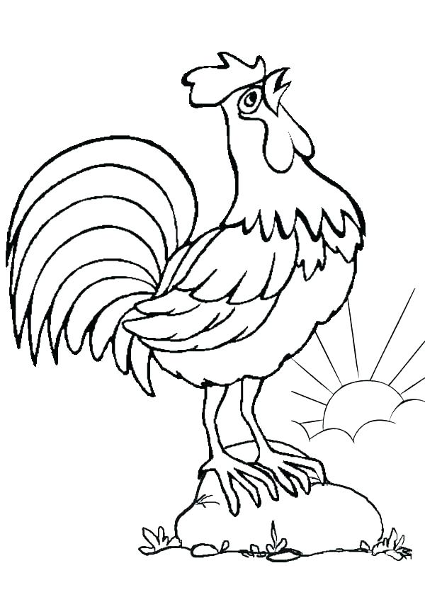 600x850 Rooster Coloring Page Drawing A Rooster Coloring Page Fighting