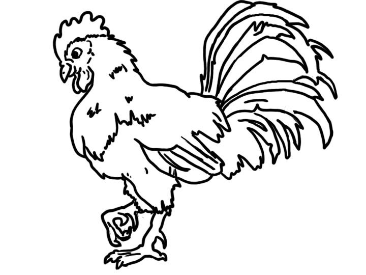 Rooster Coloring Page at GetDrawings | Free download