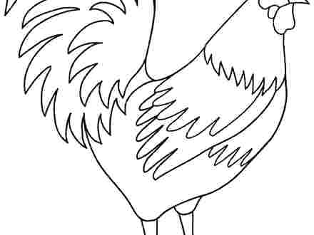 440x330 Rooster Coloring Page Best Rooster Coloring Page Free Download