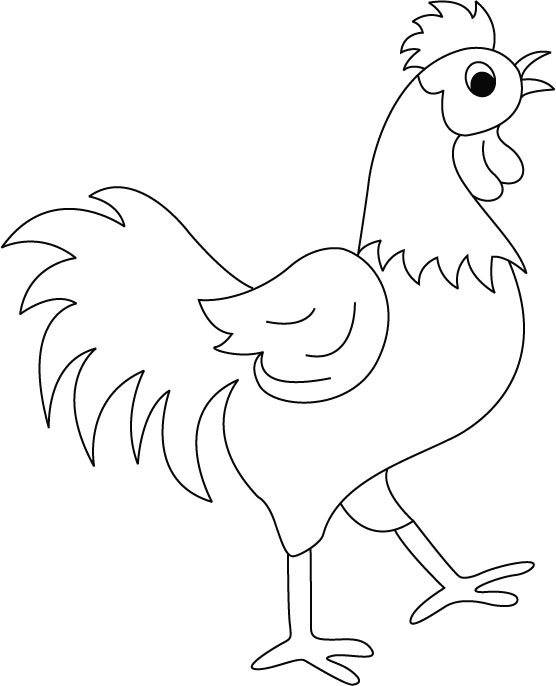 556x686 Rooster Coloring Page Luxury Funny Rooster Coloring Pages For Kids