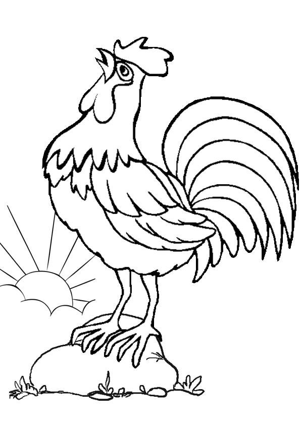 600x850 Rooster Coloring Pages