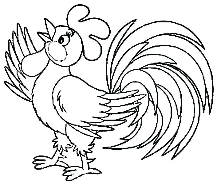 706x600 Rooster Coloring Pages Stunning Decoration Rooster Coloring Page