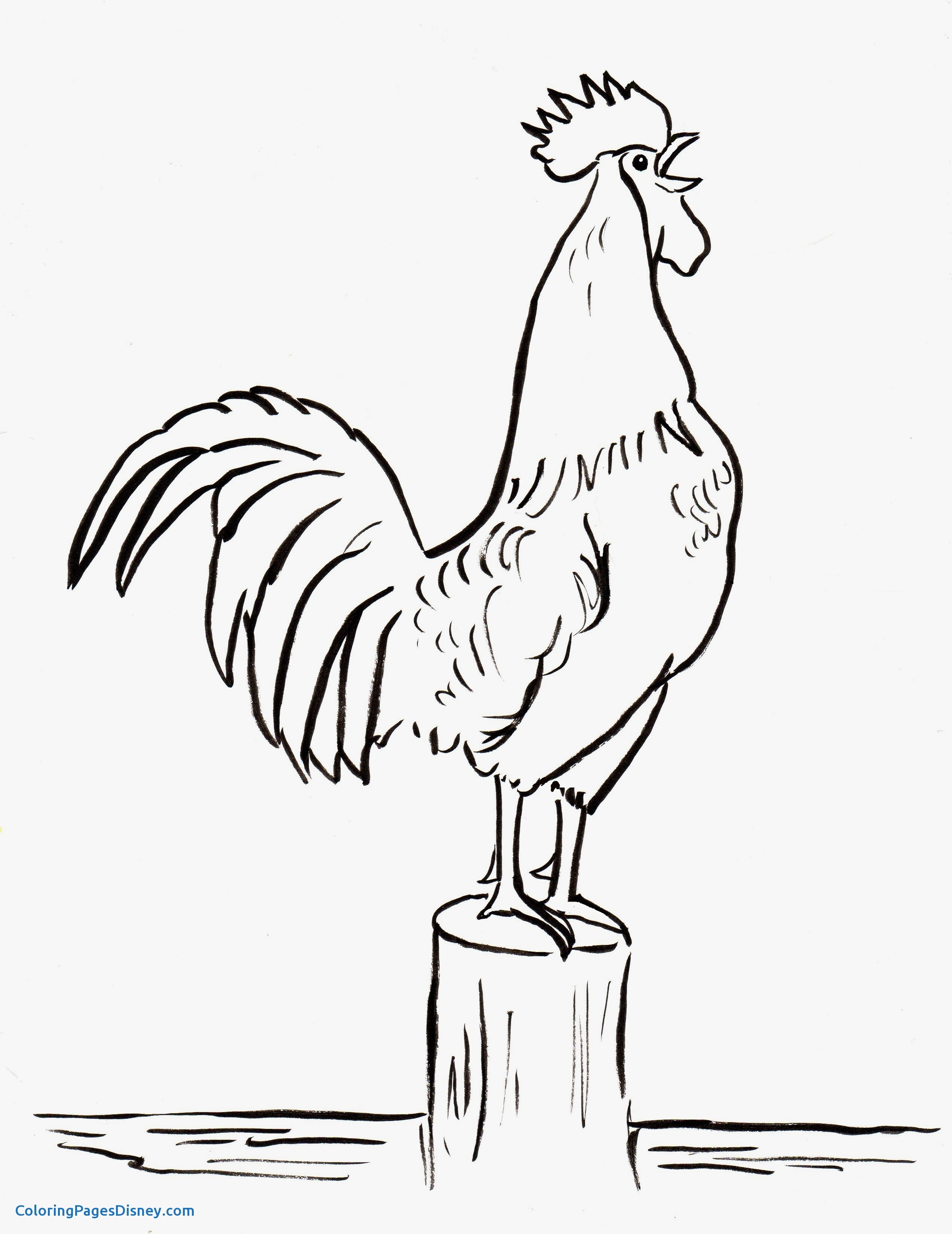 2545x3300 Roosters Coloring Pages Luxury Rooster Coloring Page