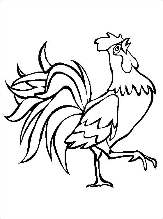 560x750 Free Rooster Pictures To Print Printable Animal Coloring Page