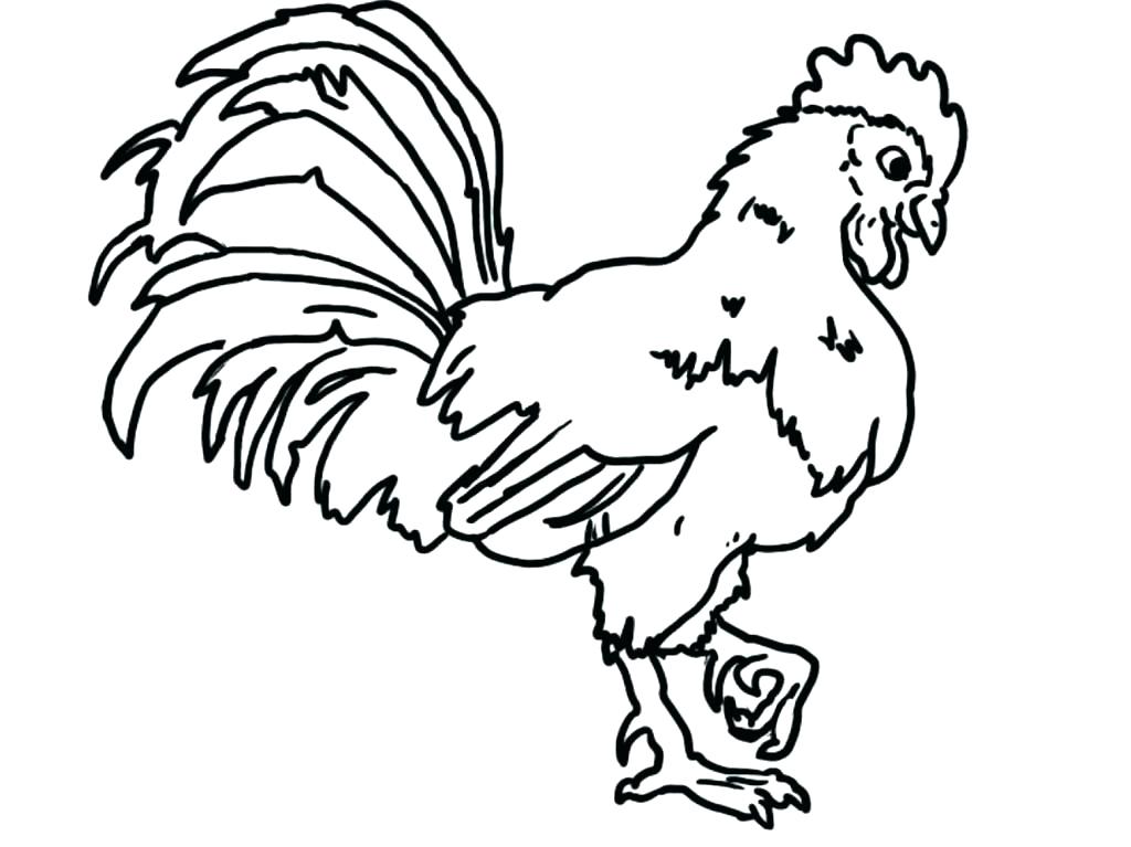 1024x767 Hen Coloring Pages Rooster Coloring Pages Rooster Coloring Pages